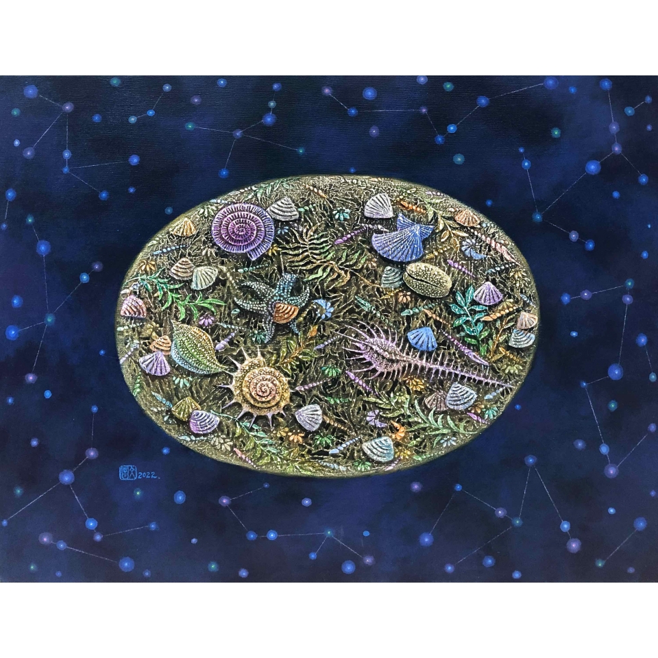 星座環繞的圓宇宙